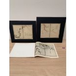 A pair Japanese botanical prints 9' x 11', unframed; together with a book of similar prints. All