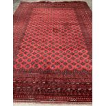 An Afghan red ground hand knotted carpet 156' x 118'
