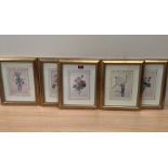 Six botanical prints after Redoute. 7½' x 5'