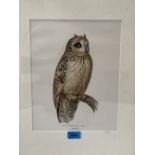 AFTER VON WRIGHT Study of an owl. Chromolithograph 12' X 9'