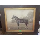 An oak framed photographic print of the race horse Myram. Clarence Hailey, Newmarket. 16' x 20'