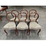 A set of six Victorian rosewood salon chairs with balloon backs, on cabriole legs. Restorations,