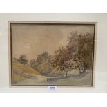 ENGLISH SCHOOL. 20TH CENTURY A wooded valley. Signed initials H.P. Watercolour 10' x 14'