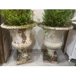 Garden Ornament. A pair of 19th century cast iron campana urns. 29½' high