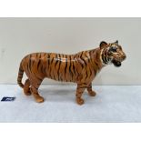 A Beswick Bengal tiger. 12' long