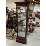 A mahogany shop display case. 68' high