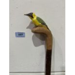 A hazel walking stick, the pommel carved as a woodpecker. 51' long