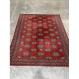 An eastern style red ground carpet. 96' x 78'