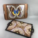 A LOT OF TWO LEPIDOPTRAY SERVING TRAYS