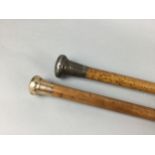 A GOLD AND A SILVER TOPPED CANE