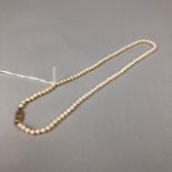 A SINGLE STRAND PEARL NECKLACE