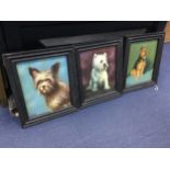 A LOT OF THREE DOG PORTRAITS BY D MCARTHUR, AND FOUR OTHERS