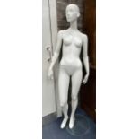 A FEMALE MANNEQUIN