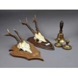 A PAIR OF MOUNTED ANTLERS AND PART SKULL
