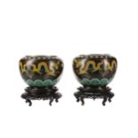 PAIR OF EARLY 20TH CENTURY CHINESE CLOISONNE POTS, of broad oviform shape, decorated with dragons