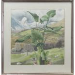 ARUM LILIES AND GLEN LUSS, A WATERCOLOUR BY JUNE SHANKS