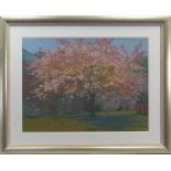 WILD CHERRY TREE, A GOUACHE BY IRENE HALLIDAY