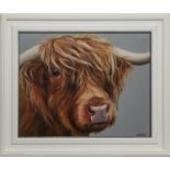 PEEK A MOO, AN OIL BY LYNNE JOHNSTONE