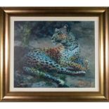 LEOPARD RECLINING AT DUSK, A CANVAS PRINT BY ROLF HARRIS