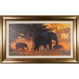 BACKLIT GOLD, A CANVAS PRINT BY ROLD HARRIS