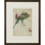 BUDGERIGARS, A WATERCOLOUR BY WINIFRED AUSTEN