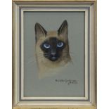 SIAMESE CAT, A GOUACHE BY RALSTON GUDGEON