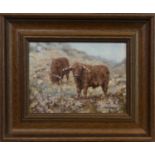 HIGHLAND CATTLE, AN OIL BY NEVILLE BARKER