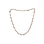 A PEARL NECKLACE