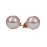 A PAIR OF PEARL STUD EARRINGS