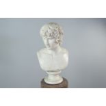 A 19TH CENTURY CARRARA MARBLE BUST OF ANTINOUS