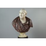 A PAINTED METAL AND FAUX MARBLE BUST OF JAMES GREGORY BY SAMUEL JOSEPH