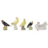 AN EARLY 20TH CENTURY MEISSEN FIGURE OF A CANARY, ALONG WITH FOUR OTHER BIRDS