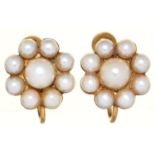 A PAIR PF CULTURED PEARL EARRINGS, IN GOLD, SCREW FITTING, 14MM DIAM, MARKED 9CT, 4.6G Good