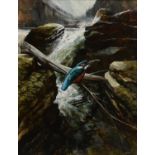 KEN TURNER (1926-) - KINGFISHER, OIL ON HARDBOARD, 59.5 X 45.5CM Good condition