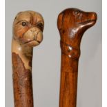 TREEN. TWO WALKING CANES, THE HANDLE CARVED AS THE HEAD OF A DOG, 19TH / EARLY 20TH C, BRASS OR