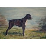 R REDMILE, 1980 - PORTRAITS OF BOXER DOGS, A PAIR, BOTH SIGNED AND DATED, OIL ON HARDBOARD, 34.5 X