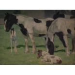 WINIFRED WILSON (1882-1973) - PIEBALD HORSES AND FOALS, SIGNED, OIL ON CANVAS, 33 X 45CMWinifred