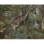 SCANDINAVIAN SCHOOL, 20TH CENTURY PTARMIGAN, SIGNED INDISTINCTLY, OIL ON CANVAS, 40 X 50CM Condition