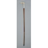 A VICTORIAN MALACCA WALKING CANE, THE IVORY HANDLE CARVED IN THE FORM OF A GAITER, STEEL TIP, 86CM L