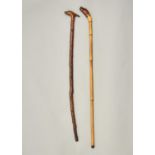 TWO WALKING CANES, THE HANDLE CARVED AS THE HEAD OF A DOG, 19TH C, ONE OF GNARLED WOOD, THE OTHER