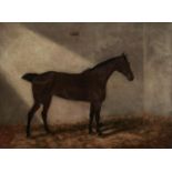 BENEDICT A HYLAND, FL LATE 19TH CENTURY - PORTRAIT OF A HORSE IN A LOOSE BOX, SIGNED (IN RED), OIL