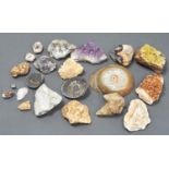 A COLLECTION OF MINERALS TO INCLUDE BLUE JOHN, FLUORITE, AMETHYST, QUARTZ, AGATE AND SEVERAL FOSSILS