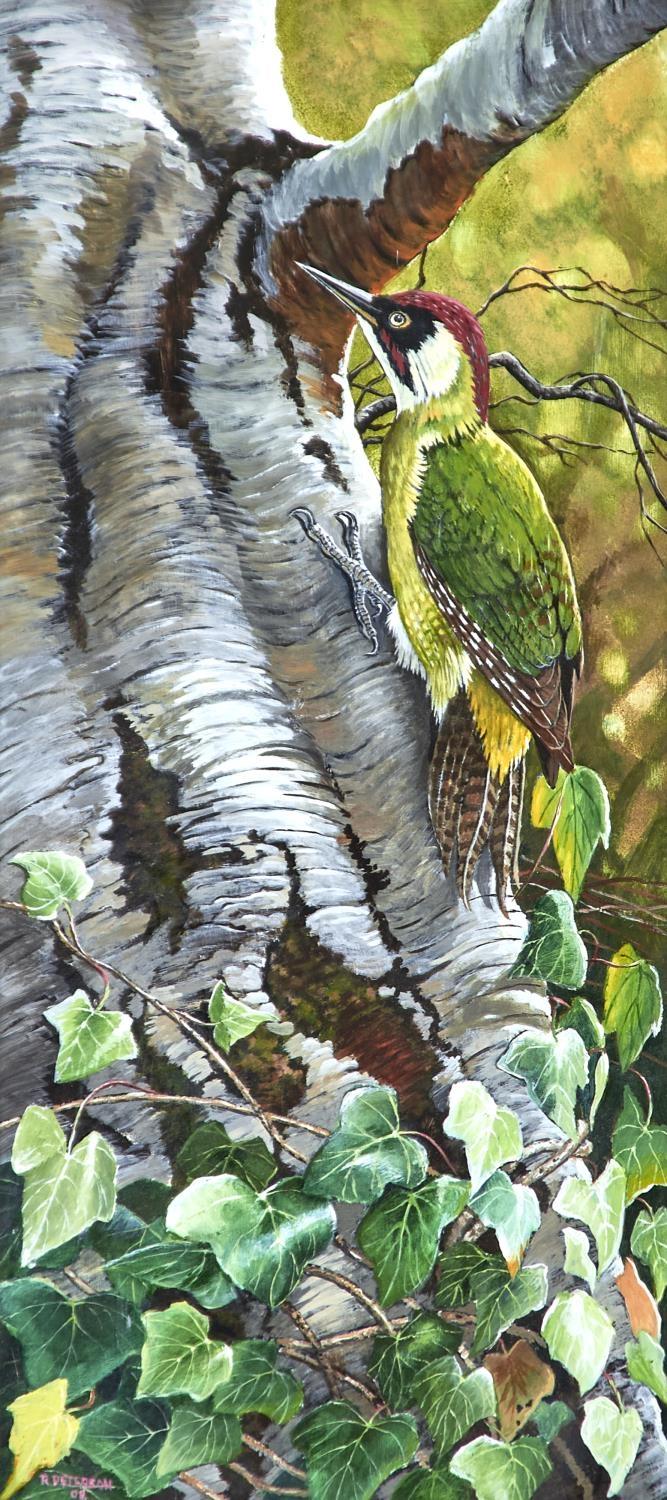 RON PETERSON, 20TH / 21ST C -  GREEN WOODPECKER, SIGNED AND DATED 08, ACRYLIC ON BOARD, 54.5 X 24.