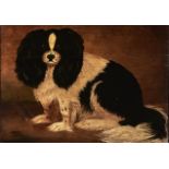 British Naive Artist, 19th c or later - A King Charles Spaniel, oil on panel, 39 x 54.5cm The work