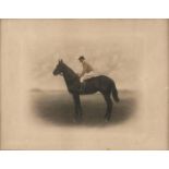 A pair of early 20th c hand tinted photographs of a race horse with jockey up and a similar subject,