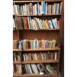 Ten shelves of books