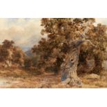 David Cox the Elder, OWS (1783-1859) - A Venerable Oak Tree, signed and dated 1845, watercolour,
