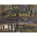 English School, early 20th c - Ducks on a Woodland Stream, indistinctly signed and dated,