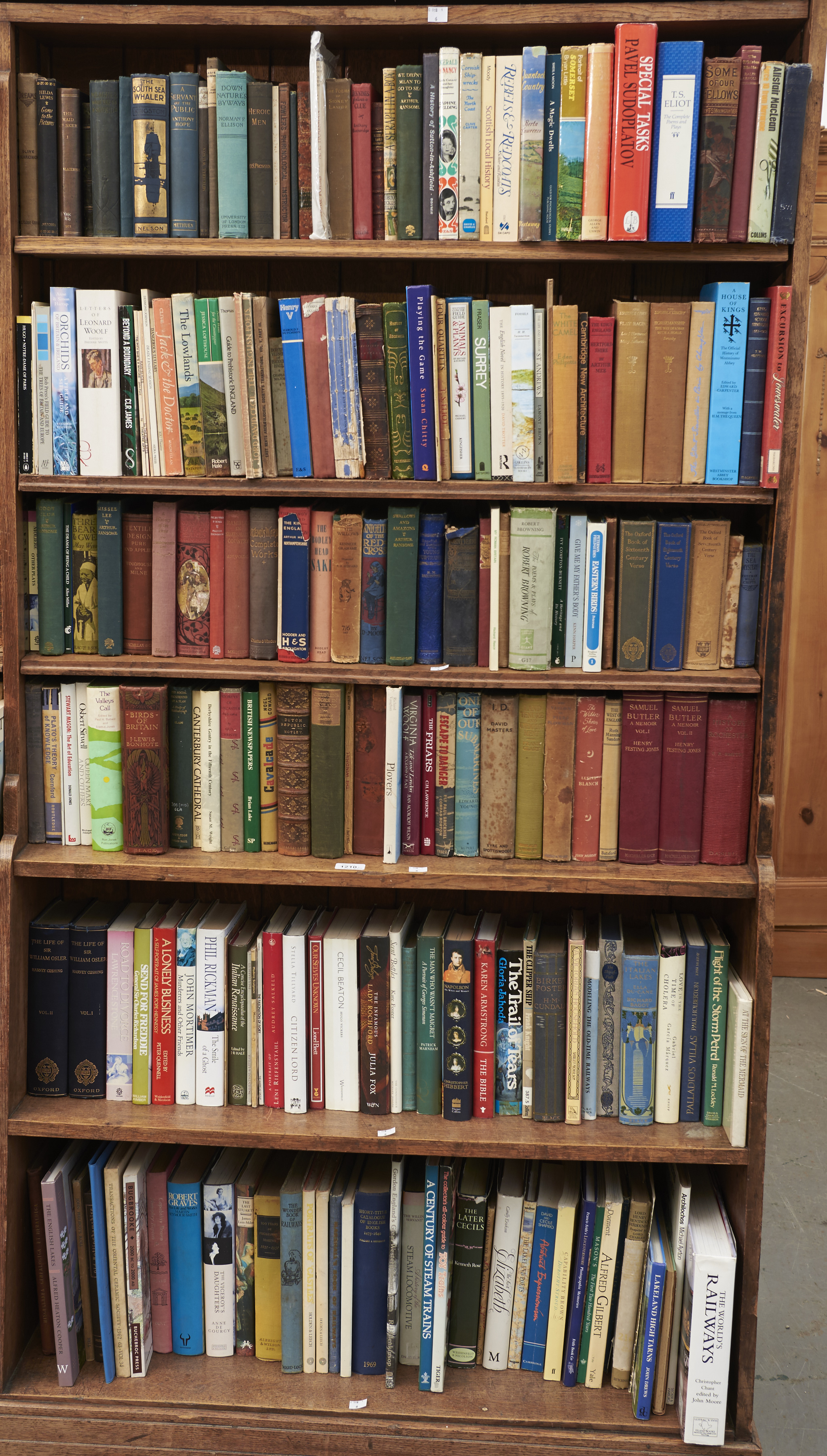 Six shelves of miscellaneous books