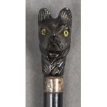 An unusually short Edwardian ebonised cane, the caved ebony fox head handle with opening mouth and